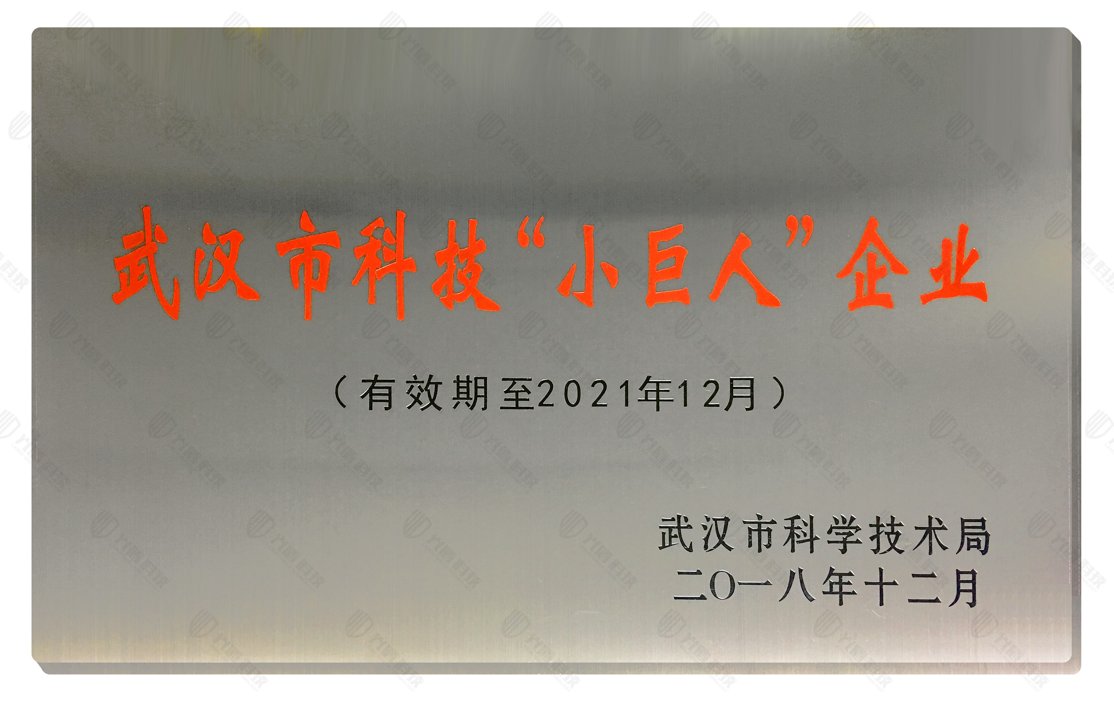 武汉科技小巨人加水印.jpg