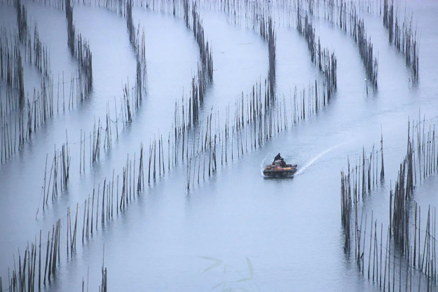 微信图片_20241219154159.png 微信图片_20241219154159.png